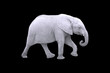 White Elephant Isolated on Black Background