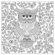 Adult coloring book page. Owl sitting on blossom branch