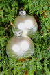 file:///home/jena/ObrÃ¡zky/Fotobanky/2016/NehotovÃ©/05/13/Raw/Two silver Christmas ornaments on green needles.RAF