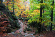 Fall In Karkonosze Mountains Forest In Poland