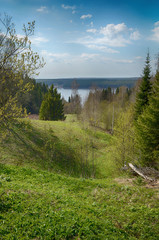 Wall Mural -  River and spring forest.