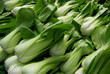 Fresh Pak choi cabbage in the city market of Birmingham
