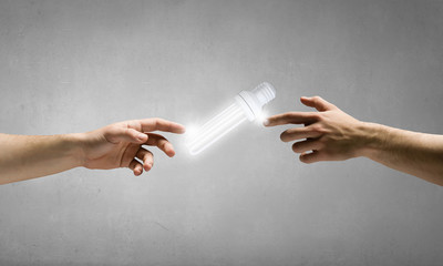 Wall Mural - hand pointing light bulb