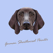 Vector Illustrated portrait of German Shorthaired Pointer dog