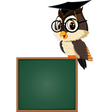 Illustration Of Owl Teacher At Blackboard