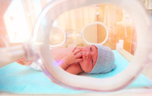 Newborn Baby Lying Inside The Infant Incubator In Hospital, Sucking Fingers