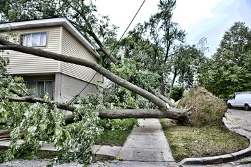 Wind Destruction Outdoors