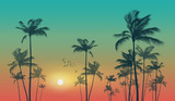 Fototapeta  - Exotic tropical palm trees  at sunset
