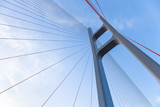 the cable stayed bridge closeup