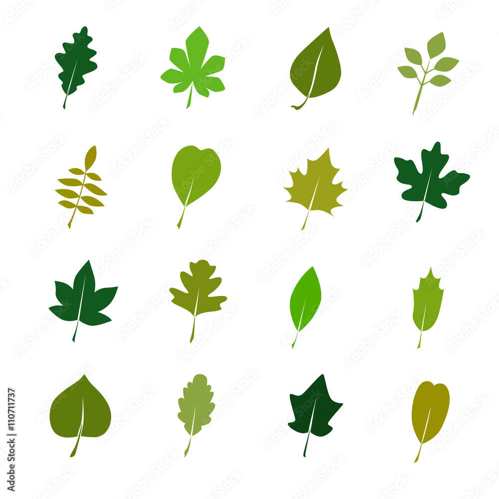 Set of color tree leaves icon - obrazy, fototapety, plakaty 