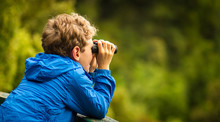 Young Boy Bird Watching In A Forest
