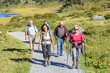 © ARochau - Seniorengruppe beim Wandern