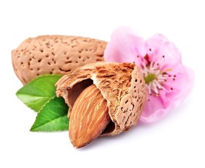 Wall Mural - Almonds with flowers
