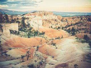 Wall Mural - bryce canyon