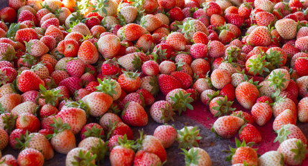 Sweet fresh strawberry on the wooden table, selective focus