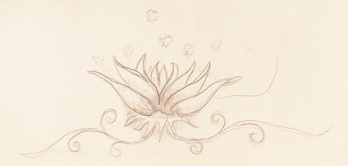 Poster - Color drawing of ornamental flower structure. Original hand drawn on paper.