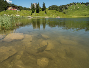 Wall Mural - SCHROECKEN, AUSTRIA, JUNE 30: A view of Berghotel Koerbersee at the top of hill near village Schroecken in Bregenzerwald, region Vorarlberg  in Austria, 2015.