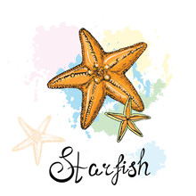 Hand Drawn Set Starfish