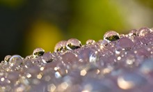 Macro Photography Showing Water Droplets