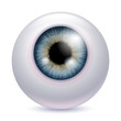 Human eyeball iris pupil - gray color.