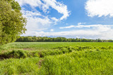 Fototapeta  - grüne Wiese und wolkiger Himmel