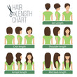 © DruZhi Art - Set of different hair length for haircuts and hairstyles - short, medium and long length. Vector.