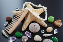 Background With Different Shells And Sea Five-pointed Stars