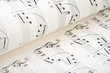 © Marek Walica - Close-up of white score sheet music notes.