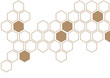 coffee brown hexagon white background wall pattern