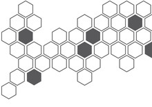 Dark Grey Hexagon White Background Wall Pattern