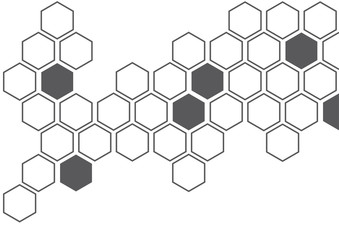 dark grey hexagon white background wall pattern