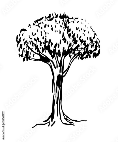 Drawing Of Green Deciduous Tree With Lush Foliage Tree Graphic Ink Isolate Hand Drawn Sketch Vector Illustration Buy This Stock Vector And Explore Similar Vectors At Adobe Stock Adobe Stock