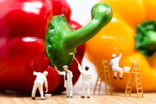 Miniature Painters Coloring Bell Pepper. Macro Photo
