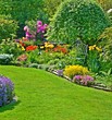 Idyllischer Garten mit Gartenstuhl, Baum und verschiedenen Blumen