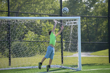 Wall Mural - Goalie Jumps To Make The Save