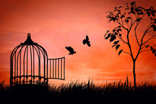 Birds Couple Escaping From The Cage. Freedom Concept. Released To Nature