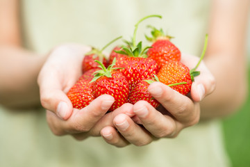 hands with fresh strawberries