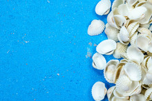 Seashells On Wood Painted Blue Background.