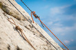 © punghi - Climbing rope knot on stone wall