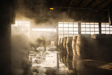 Worker Pushing Barrel In Warehouse