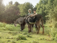 Two Boys With Donkey In Field, Portrait