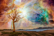 Alien Planet Fantasy Landscape. Tree Standing Near Lake With Bright Galaxy And Stars Shining In The Sky. Elements Of This Image Are Furnished By NASA