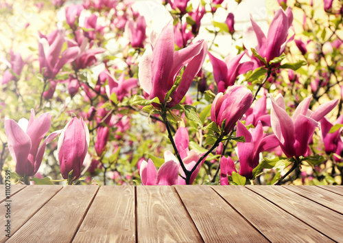 Fotografia Empty wooden table and blurred blooming tree on background