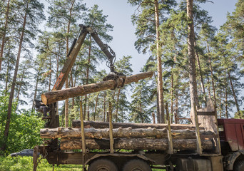 Wall Mural -  timber carrier