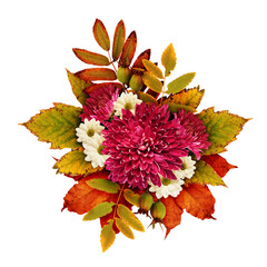 Wall Mural - autumn bouquet with aster flowers and dry leaves