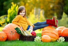 Adorable Little Girl Having Fun Together On A Pumpkin Patch