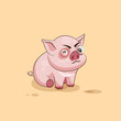 isolated Emoji character cartoon Pig squints and looks suspiciously sticker emoticon