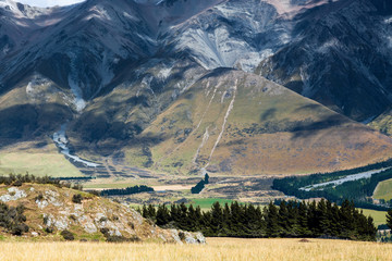 Wall Mural - New Zealnad countryside near the Rakia River