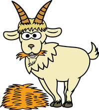 Goat Eating Hay Cartoon Illustration