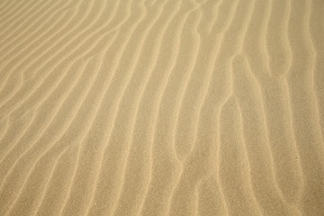  sand/ beautiful pattern in the sand made by the wind